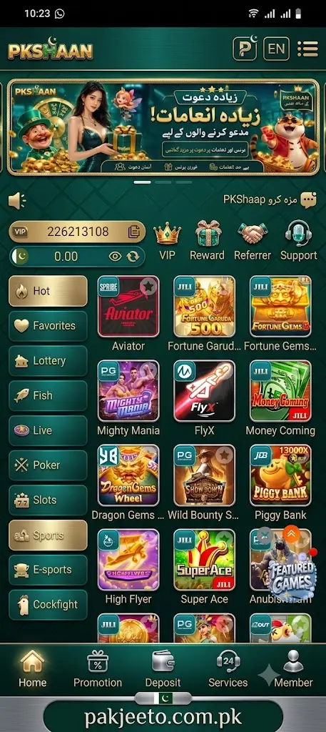 PKshaan Game